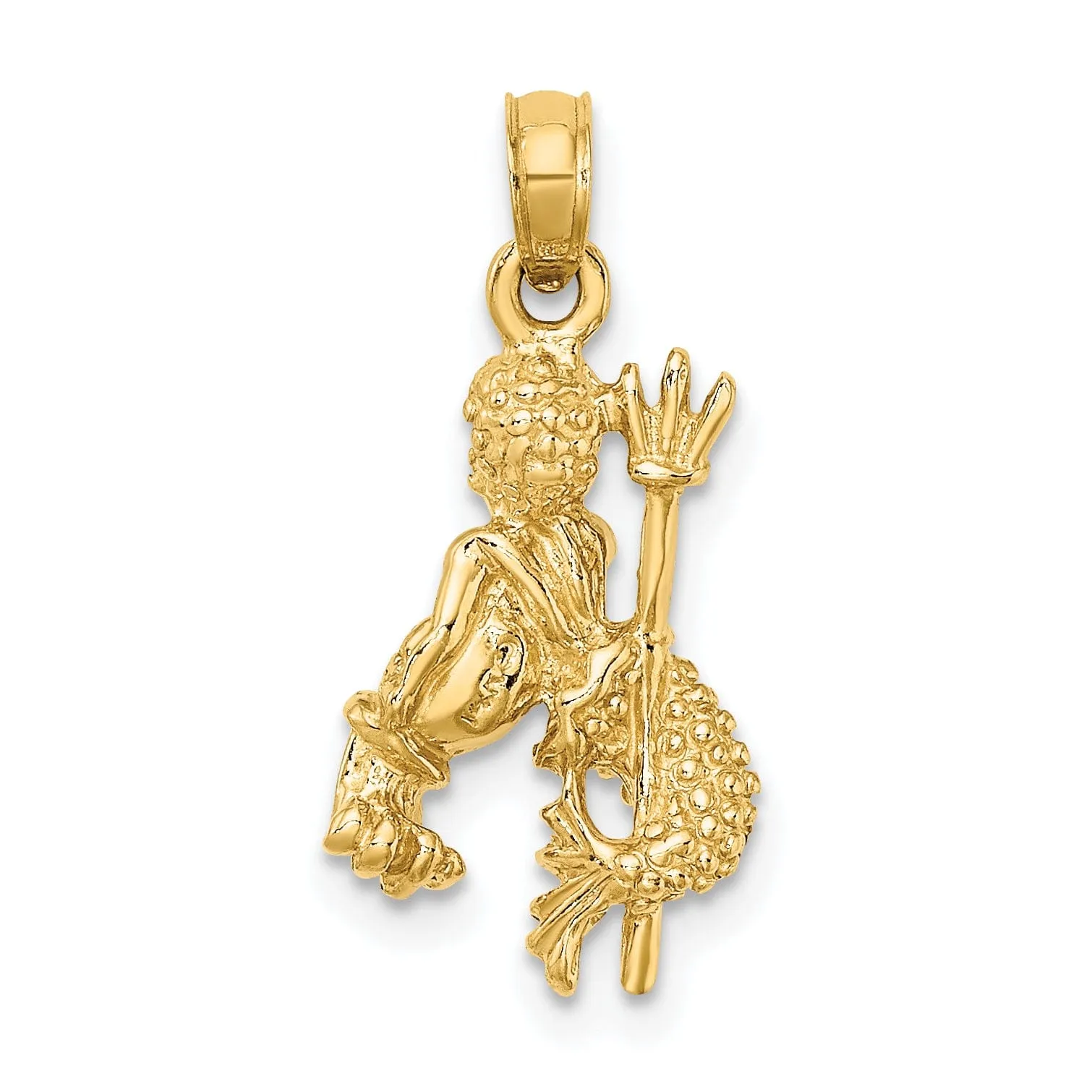 14k Yellow Gold Polished Texture Finish3-D Aquarius Zodiac Charm Pendant