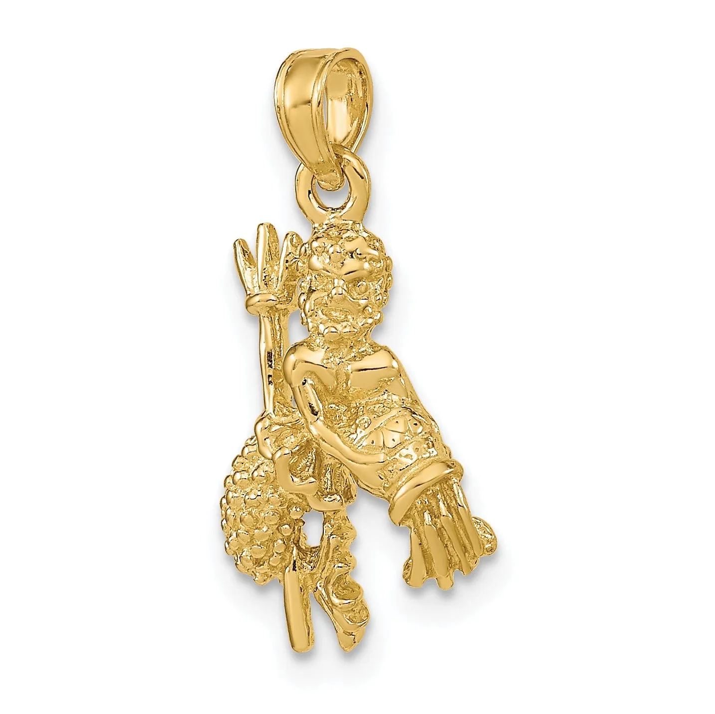 14k Yellow Gold Polished Texture Finish3-D Aquarius Zodiac Charm Pendant