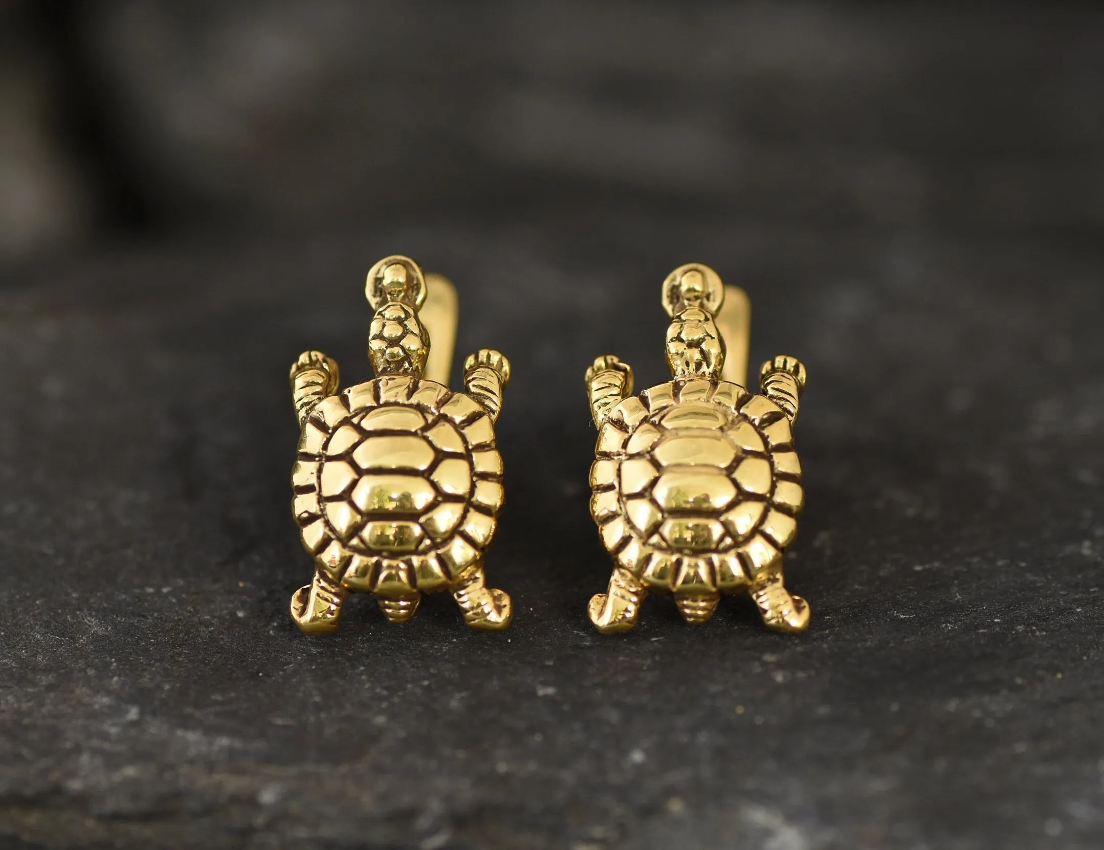 Gold Turtle Earrings - Gold Tortoise Studs, Cute Turtle Studs